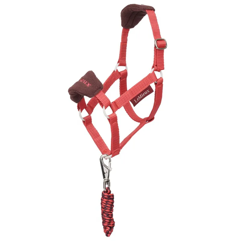 LeMieux Hobby Horse Vogue Halter and Lead Rope Set - Cranberry