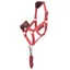 LeMieux Hobby Horse Vogue Halter and Lead Rope Set - Cranberry
