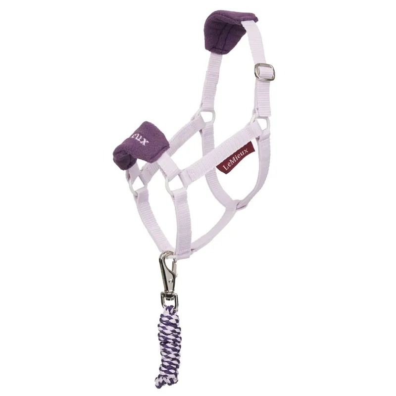 LeMieux Hobby Horse Vogue Halter and Lead Rope Set - Lilac