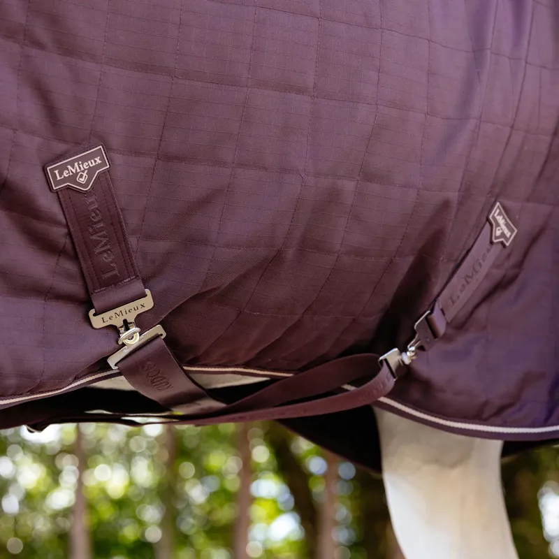LeMieux Kudos Luxe Lined 100g Stable Blanket - Damson-3