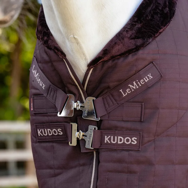 LeMieux Kudos Luxe Lined 100g Stable Blanket - Damson-4