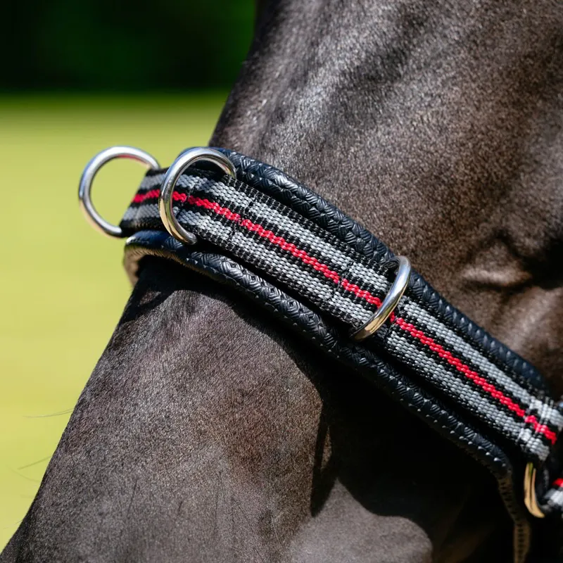 LeMieux Lunge Cavesson Halter - Black-2