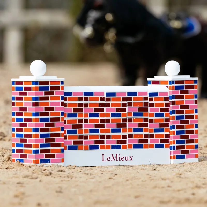 LeMieux Toy Pony Puissance Wall