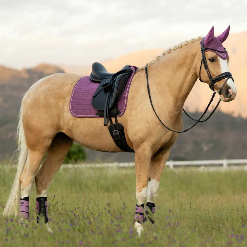 LeMieux Suede Dressage Saddle Pad - Mallow-1