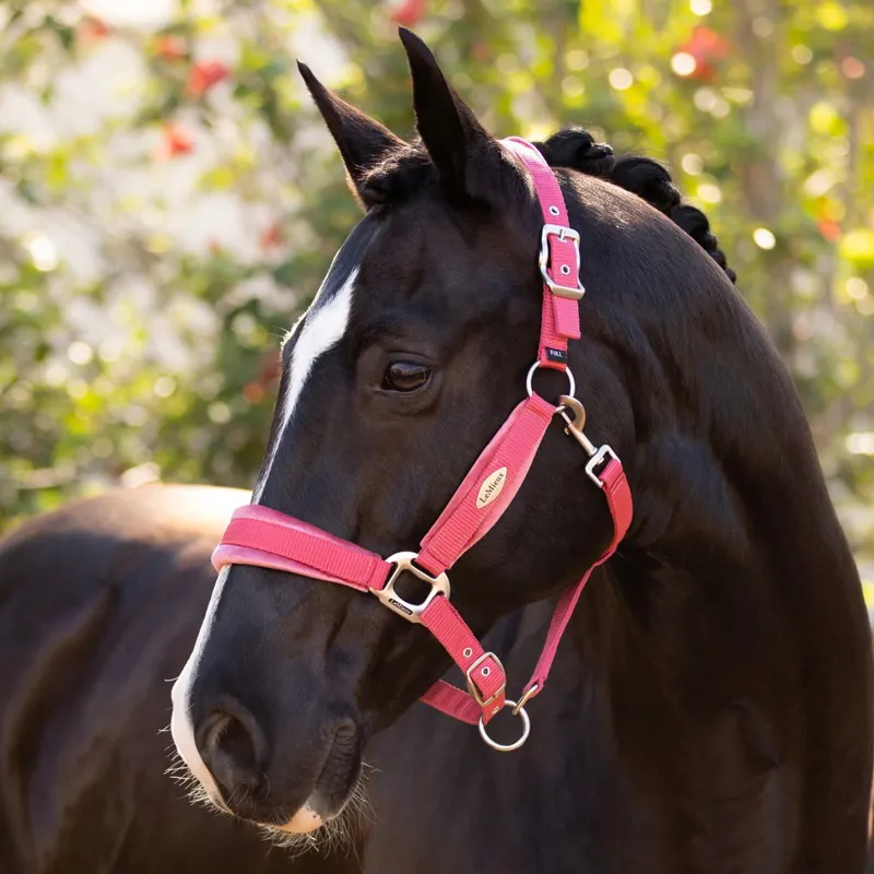 LeMieux Versailles Halter - Cranberry-1