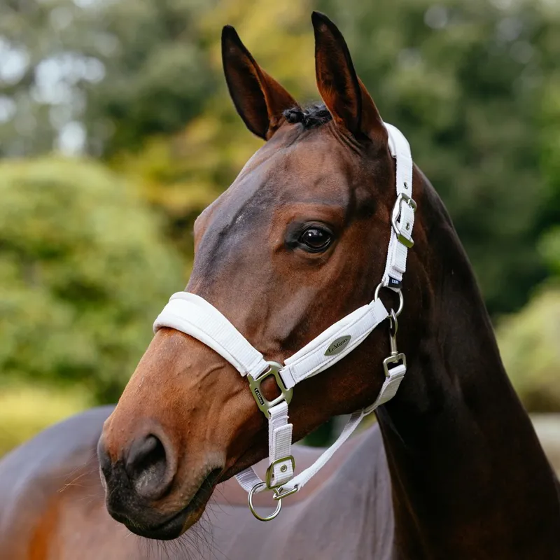 LeMieux Versailles Halter - Lilac-1