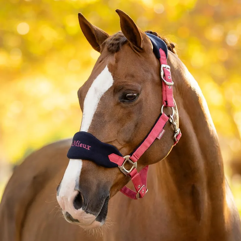 LeMieux Vogue Halter and Lead Rope Set - Cranberry-1