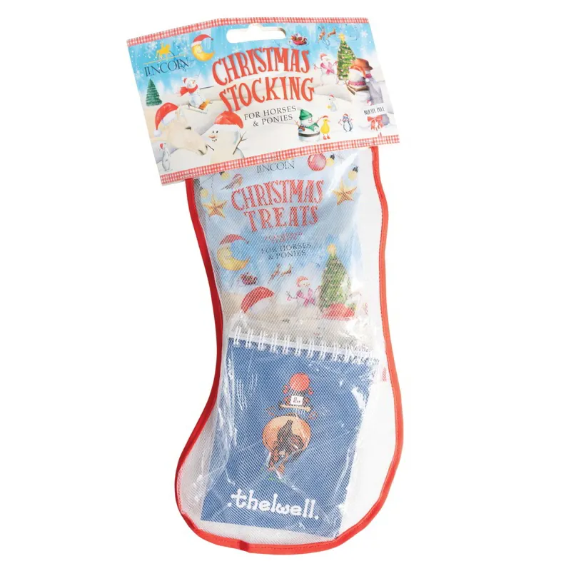 Lincoln Pony Mad Christmas Stocking