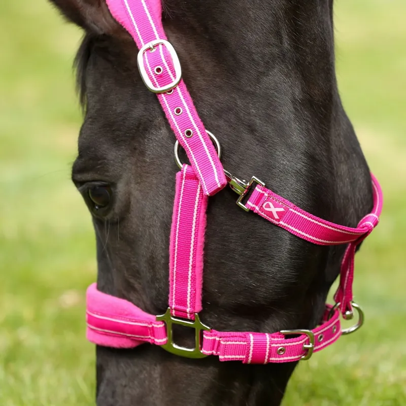 Equilibrium Stellar Style Safety Halter - Pink-1