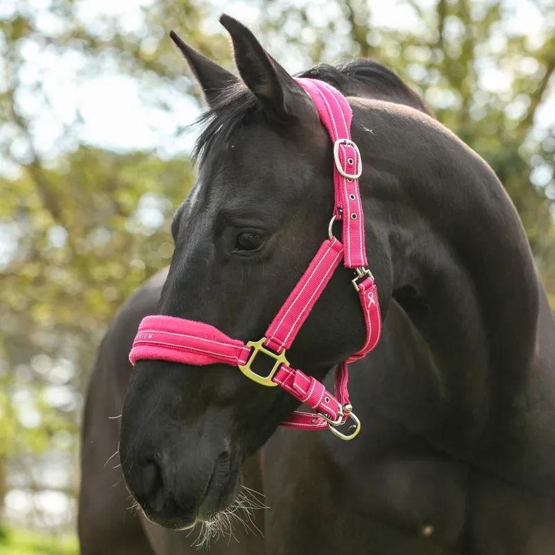 Equilibrium Stellar Style Safety Halter - Pink