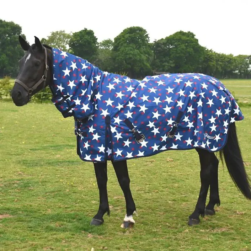 Rhinegold Torrent 0g Combo Neck Turnout Blanket - Star Design