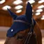Samshield FlyShield Embroidery Fly Veil - Blue