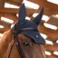 Samshield FlyShield Swarovski Fly Bonnet - Anthracite