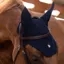 Samshield FlyShield Swarovski Fly Veil - Blue