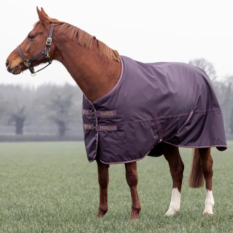 Shires Typhoon 100g Standard Neck Turnout Blanket - Black Cherry