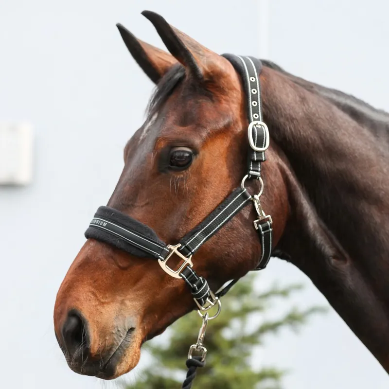 Equilibrium Stellar Style Safety Halter - Black-1