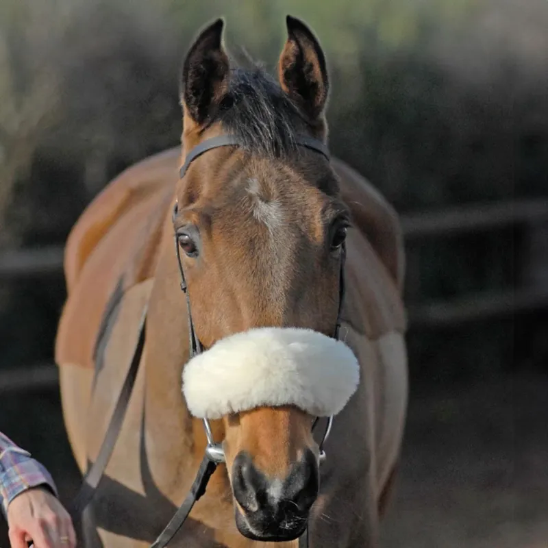 NuuMed Anti-Rub Wool Noseband Cover - Natural-1