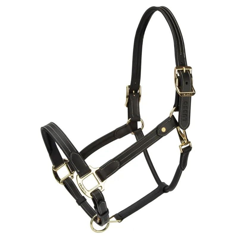 Velociti Lusso Girona Leather Halter - Black