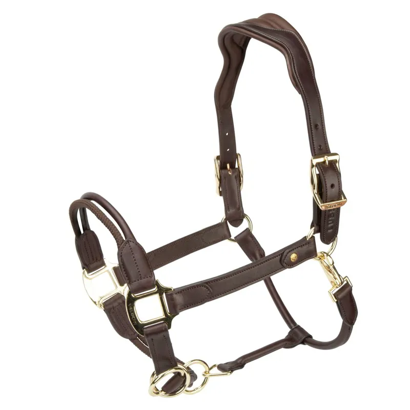 Velociti Lusso Soria Leather Halter - Havana