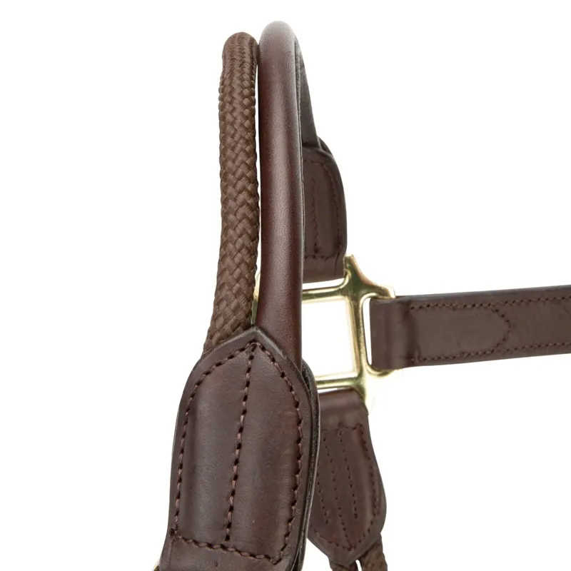 Velociti Lusso Soria Leather Halter - Havana-2