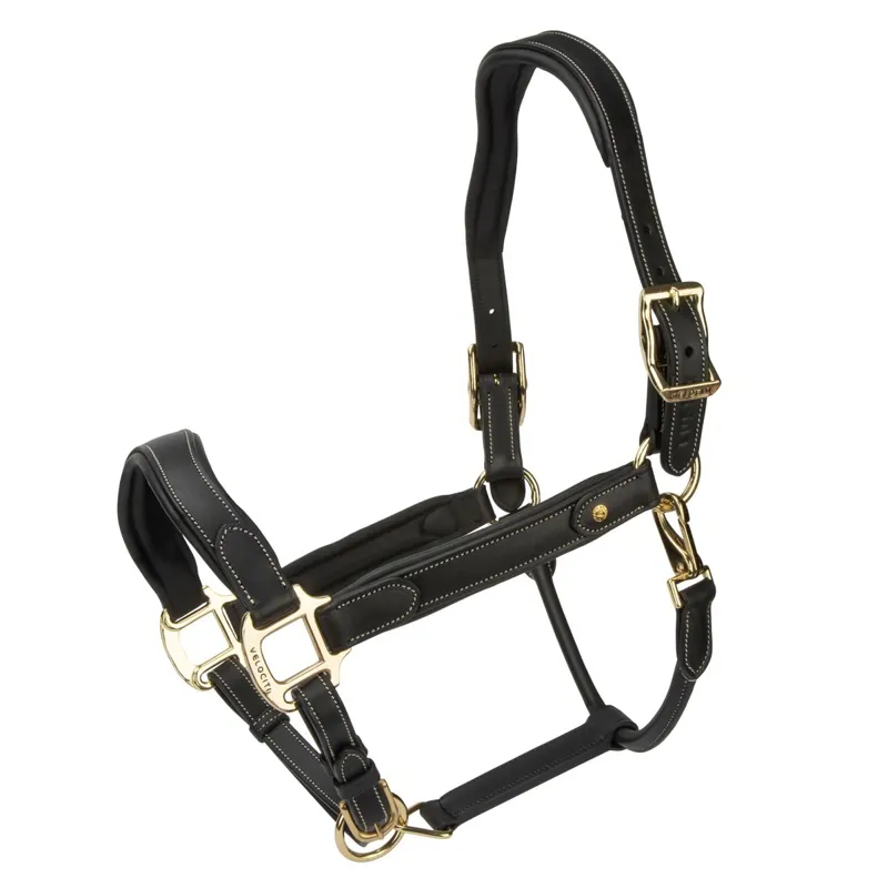Velociti Lusso Lorca Leather Halter - Black