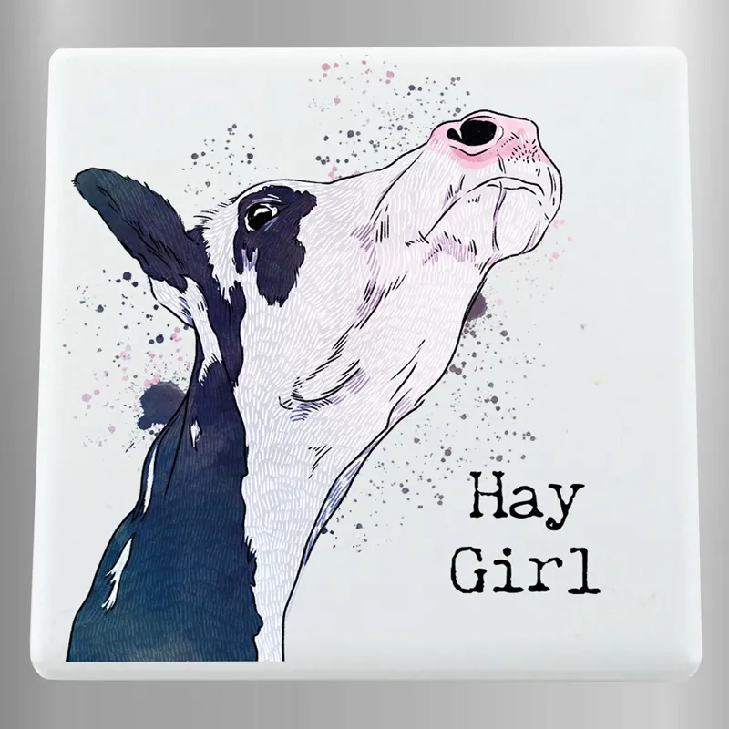 Vivid Squid Ceramic Magnet - Hay Girl