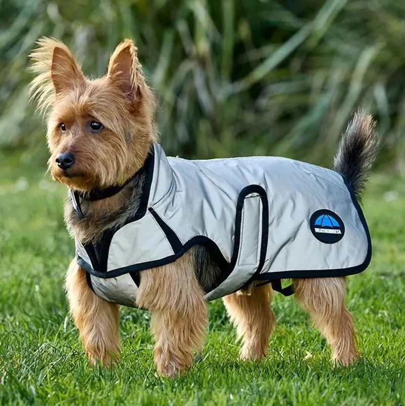 WeatherBeeta ComFiTec Reflective Showerproof Dog Coat - Silver