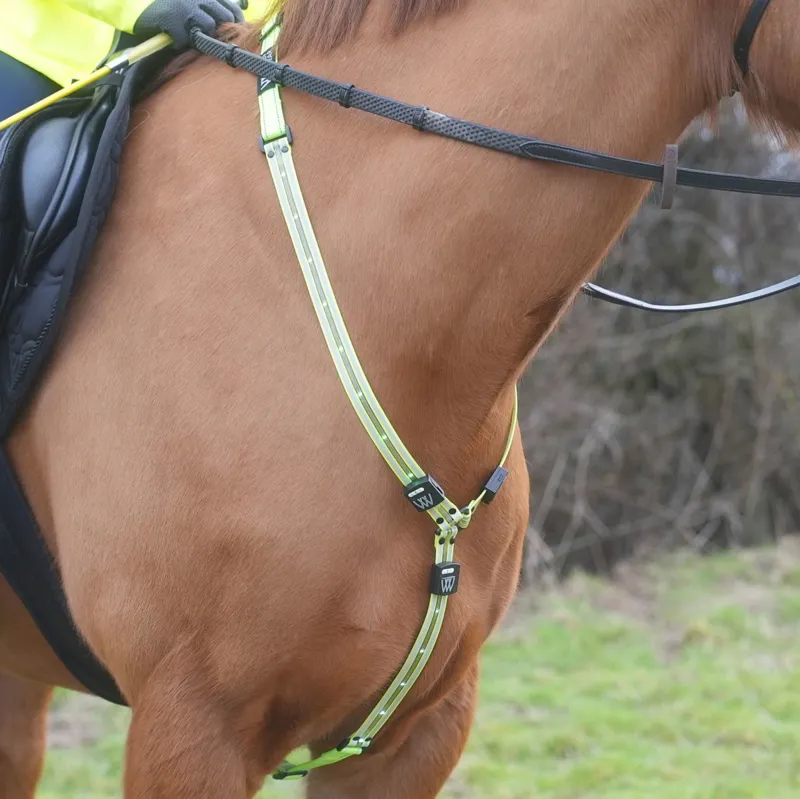 Woof Wear LED Neck Band - Yellow-1