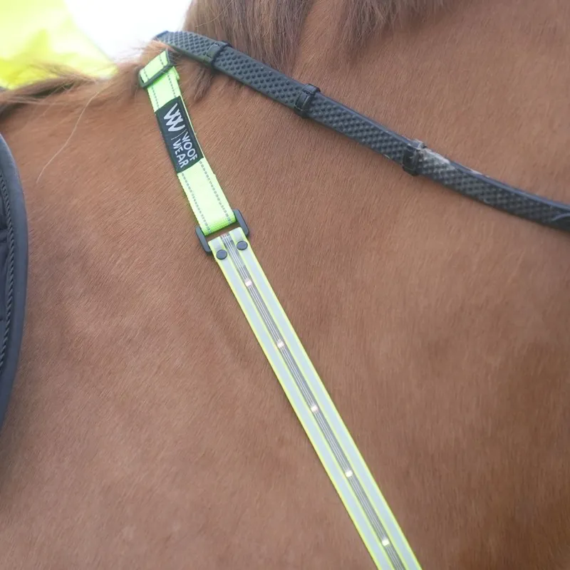 Woof Wear LED Neck Band - Yellow-4