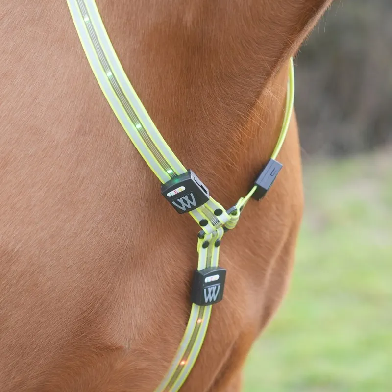 Woof Wear LED Neck Band - Yellow-6