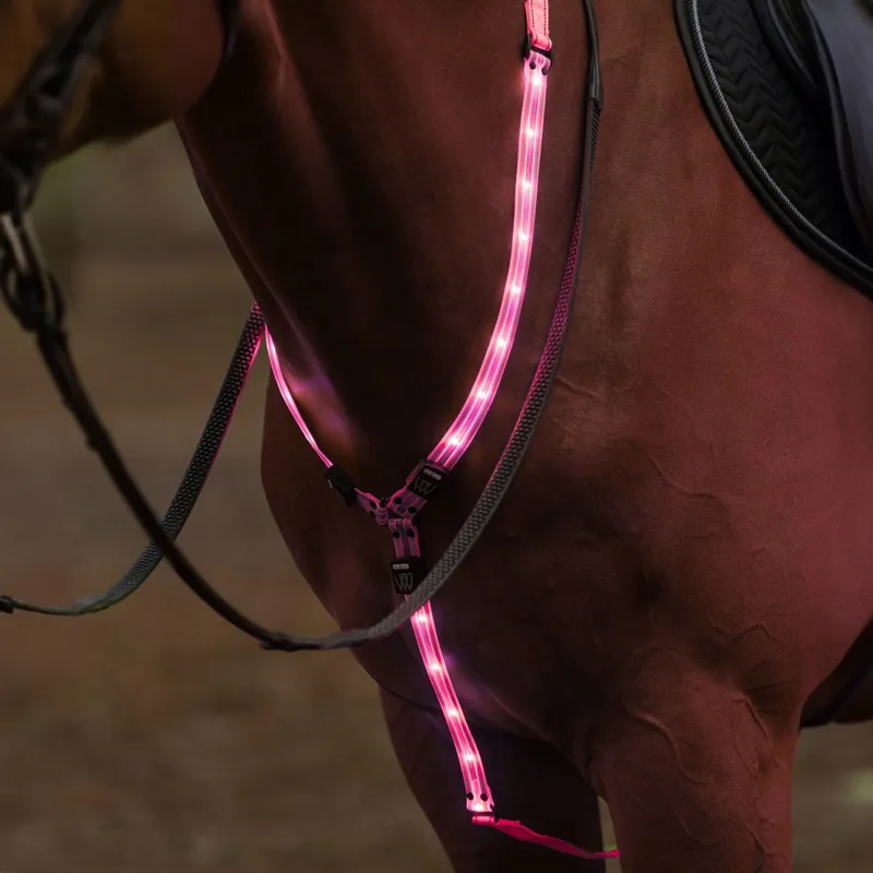 Woof Wear LED Neckband - Pink