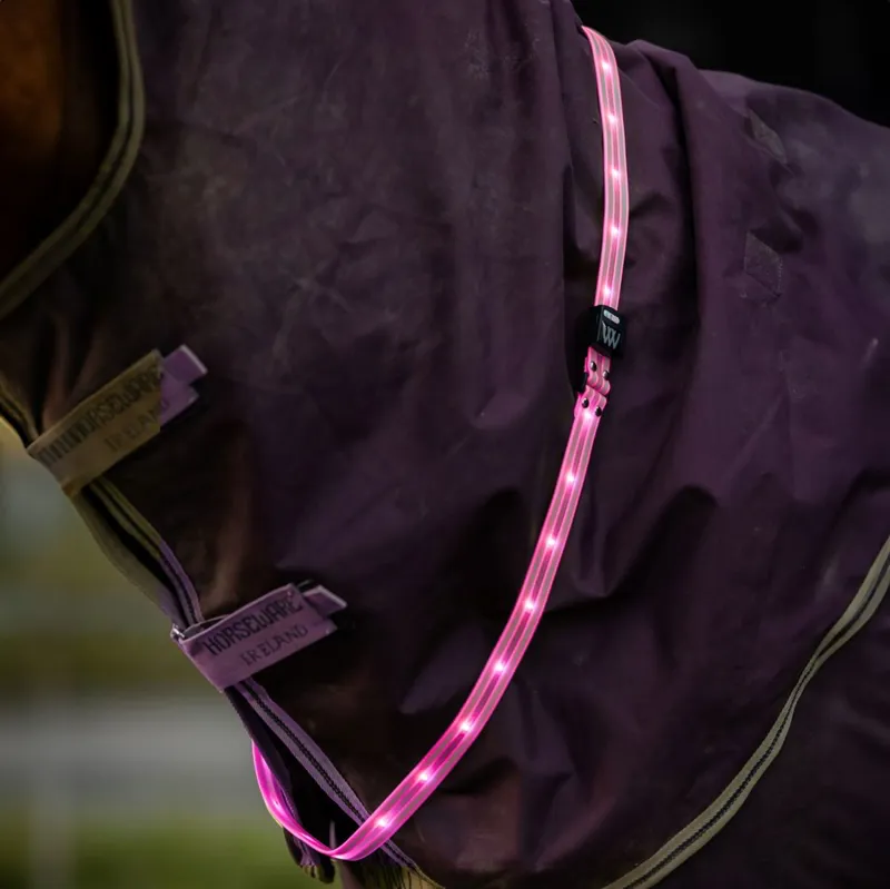 Woof Wear LED Sash - Pink