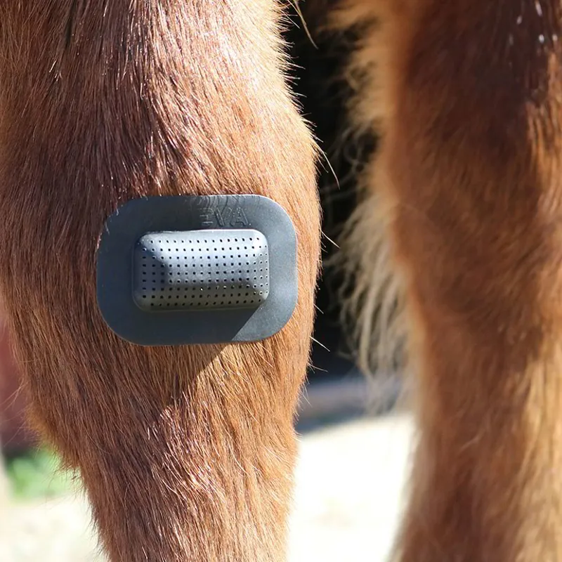 RHEVA Wound Protection Dressing