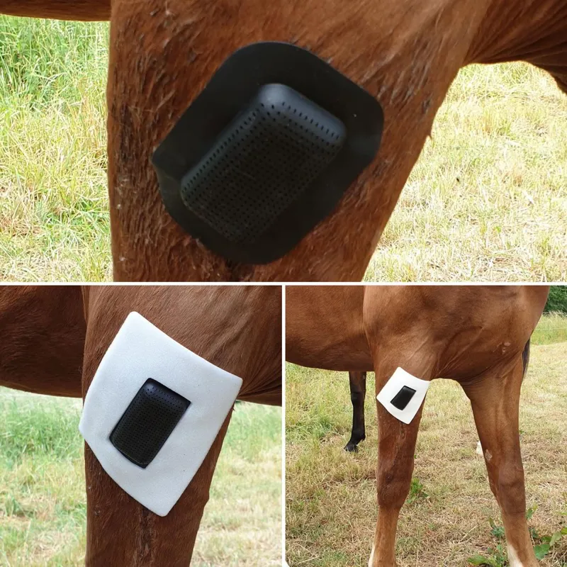 RHEVA Wound Protection Dressing-4