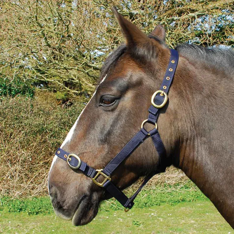 Rhinegold Nylon Halter - Navy