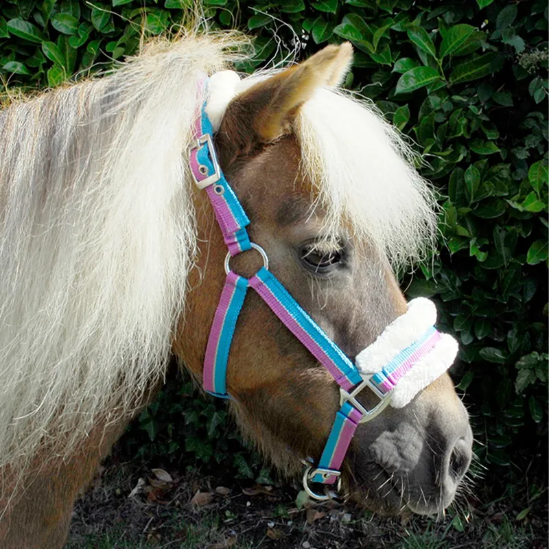 Rhinegold Fur Trim Small Pony Halter - Turquoise Stripe-1