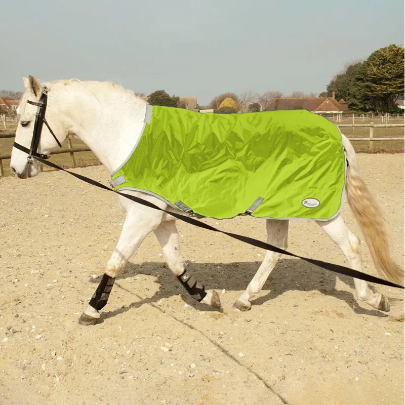 Rhinegold Horse Walker Lunge Exercise Sheet - Yellow