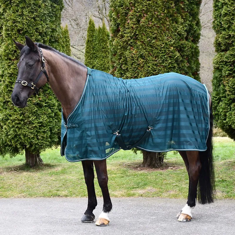Rhinegold Sweat Sheet Cooler - Forest