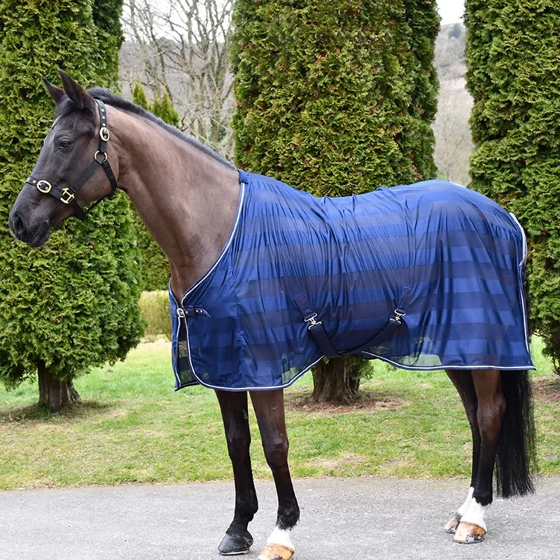 Rhinegold Sweat Sheet Cooler Sheet - Navy