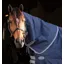 Rhino 200g Stable Hood - Navy/Titanium Grey and Classic Blue