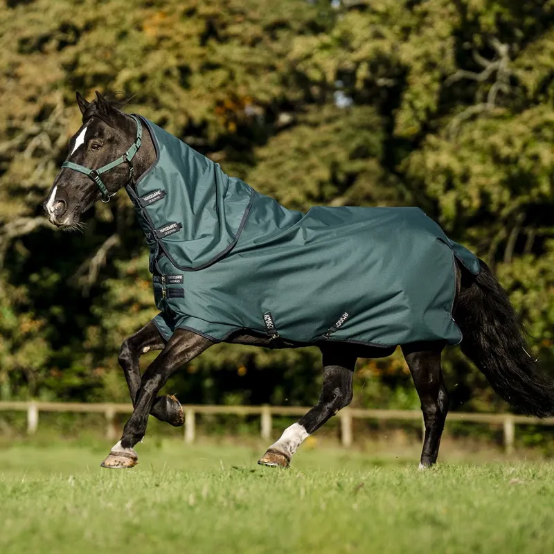 Amigo Ripstop 900D Plus 0g Turnout Blanket - Dynasty Green/Navy/Silver-9
