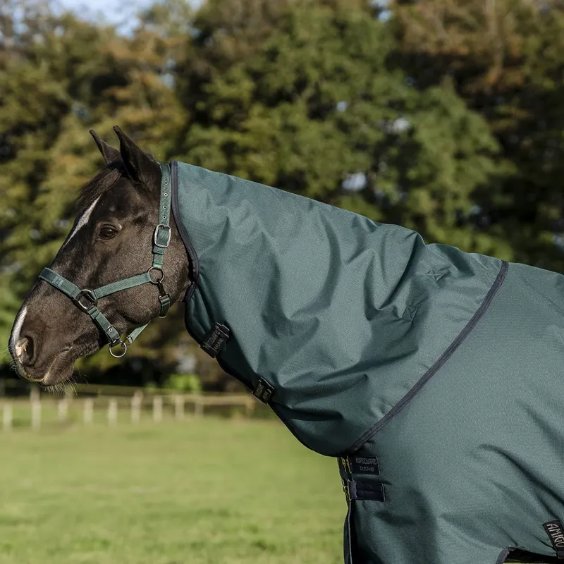 Amigo Ripstop 900D Plus 0g Turnout Blanket - Dynasty Green/Navy/Silver-3