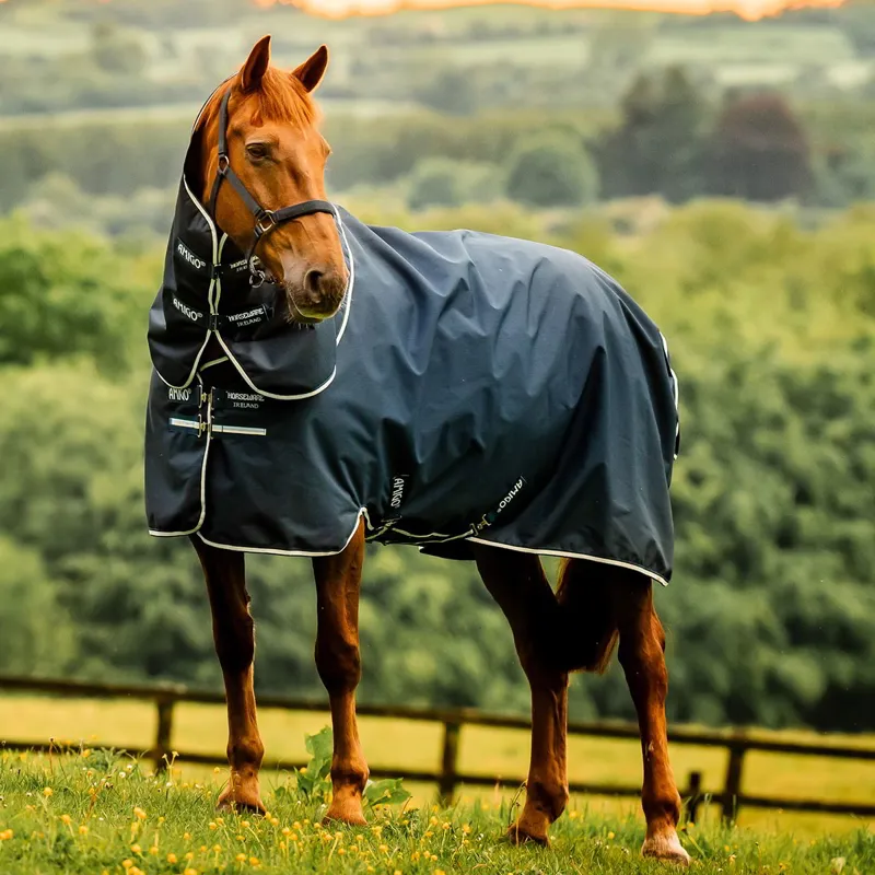Amigo Pony Ripstop 900D Plus 0g Turnout Blanket - Witney Navy
