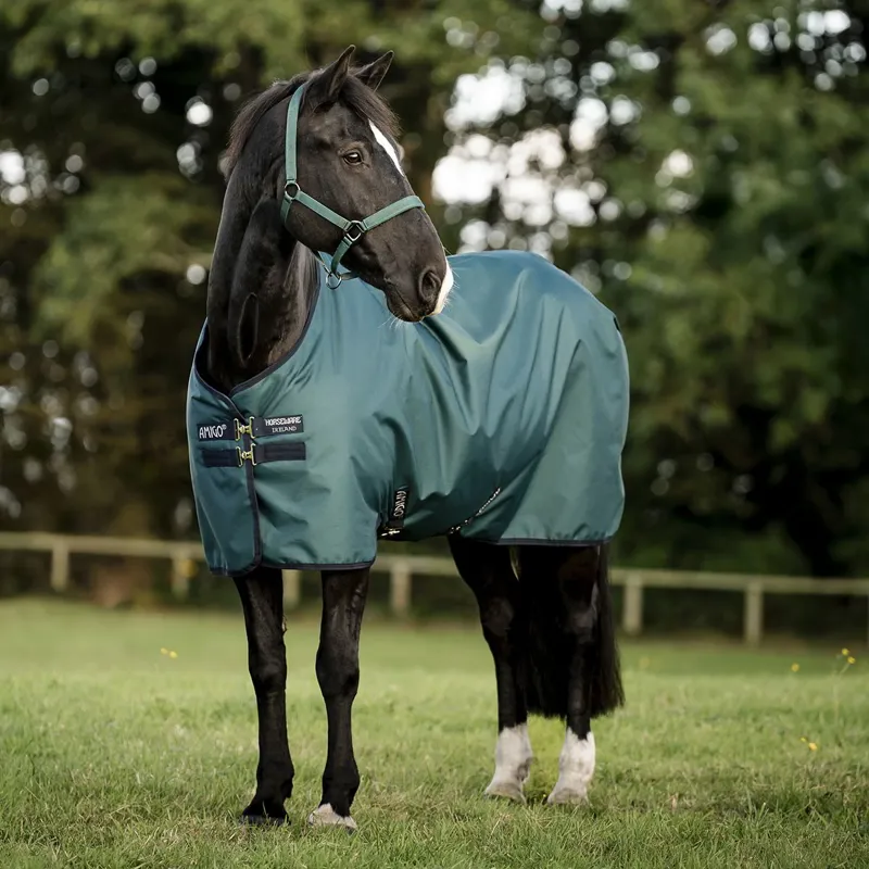 Amigo Ripstop 900D 0g Turnout Blanket - Dynasty Green/Navy