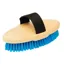 Roma Brights Body Brush in Royal Blue