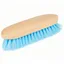Roma Brights Dandy Brush in Royal Blue