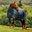 Amigo Ripstop 900D Plus 200g Detachable Neck Turnout Blanket - Witney