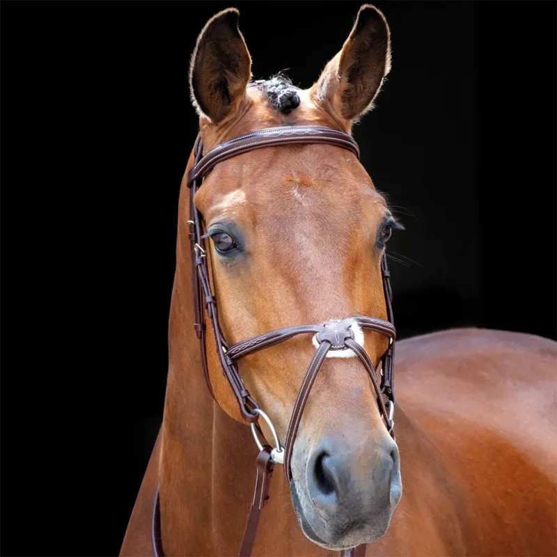 Shires Salisbury Brackley Grackle Bridle with Reins Australian Nut