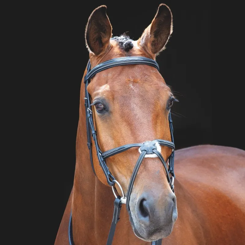 Shires Salisbury Brackley Grackle Bridle with Reins - Black