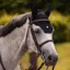 Samshield FlyShield Embroidery Fly Bonnet - Black
